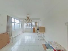客厅