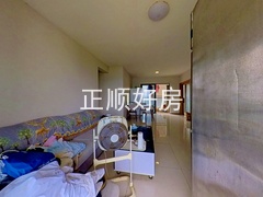 客厅