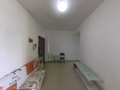 客厅
