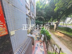 花园