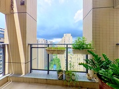 阳台
