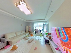客厅
