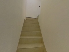 楼梯
