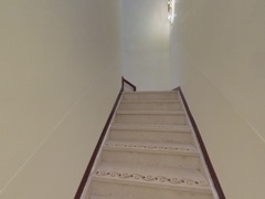 楼梯
