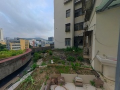 花园