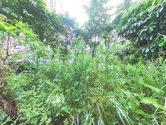 院子