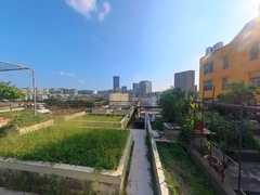 天台