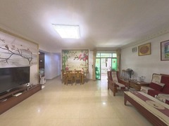 客厅