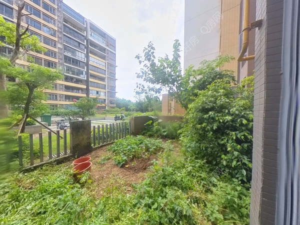 VR看房
