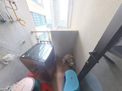 阳台