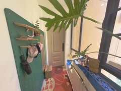 玄关