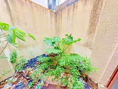 花园