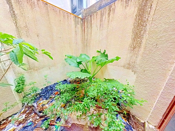 花园