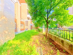 花园