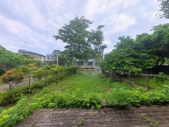 阳台
