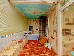 阳台
