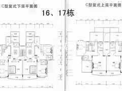 16、17栋复式