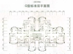 30栋户型图
