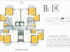 B1区11幛标准层