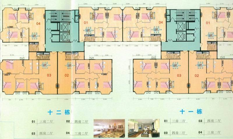 十一,十二栋