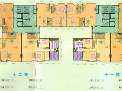 十一,十二栋(2)