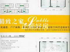 三房两厅两卫(2)