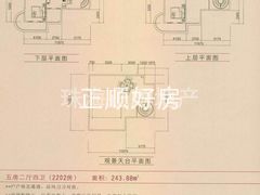 至尊地带