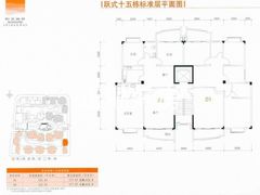 跃式15栋标准层