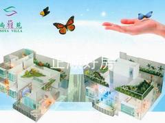 总图1