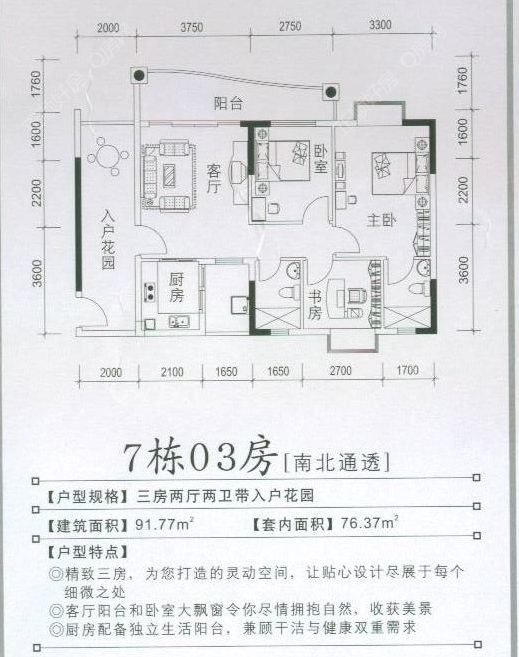 户型图