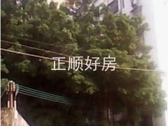 楼盘