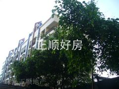小区
