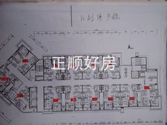 9栋平面图