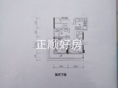 9栋08户型