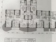 5栋01/02户型图