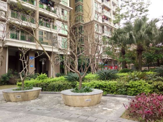 小区环境