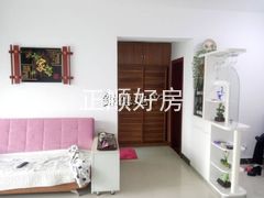 小厅